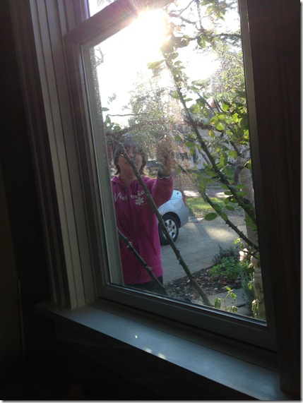 2012-11-06 15.08.11 2012-11-06 15.08.11